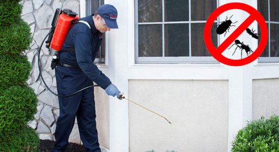 Ağlı Kene İlaçlama böcek ilaçlama ve haşere kontrolü — ilaclama-tr.com